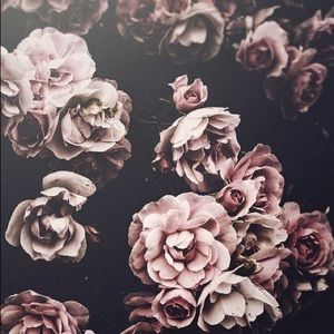 Meet your Posher, Paisley